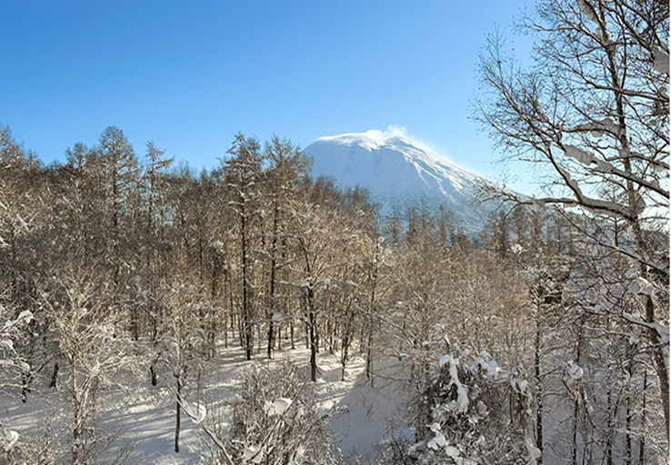 Whisky shelves right top