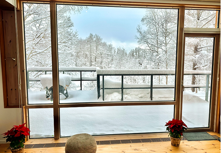 Whisky shelves right top